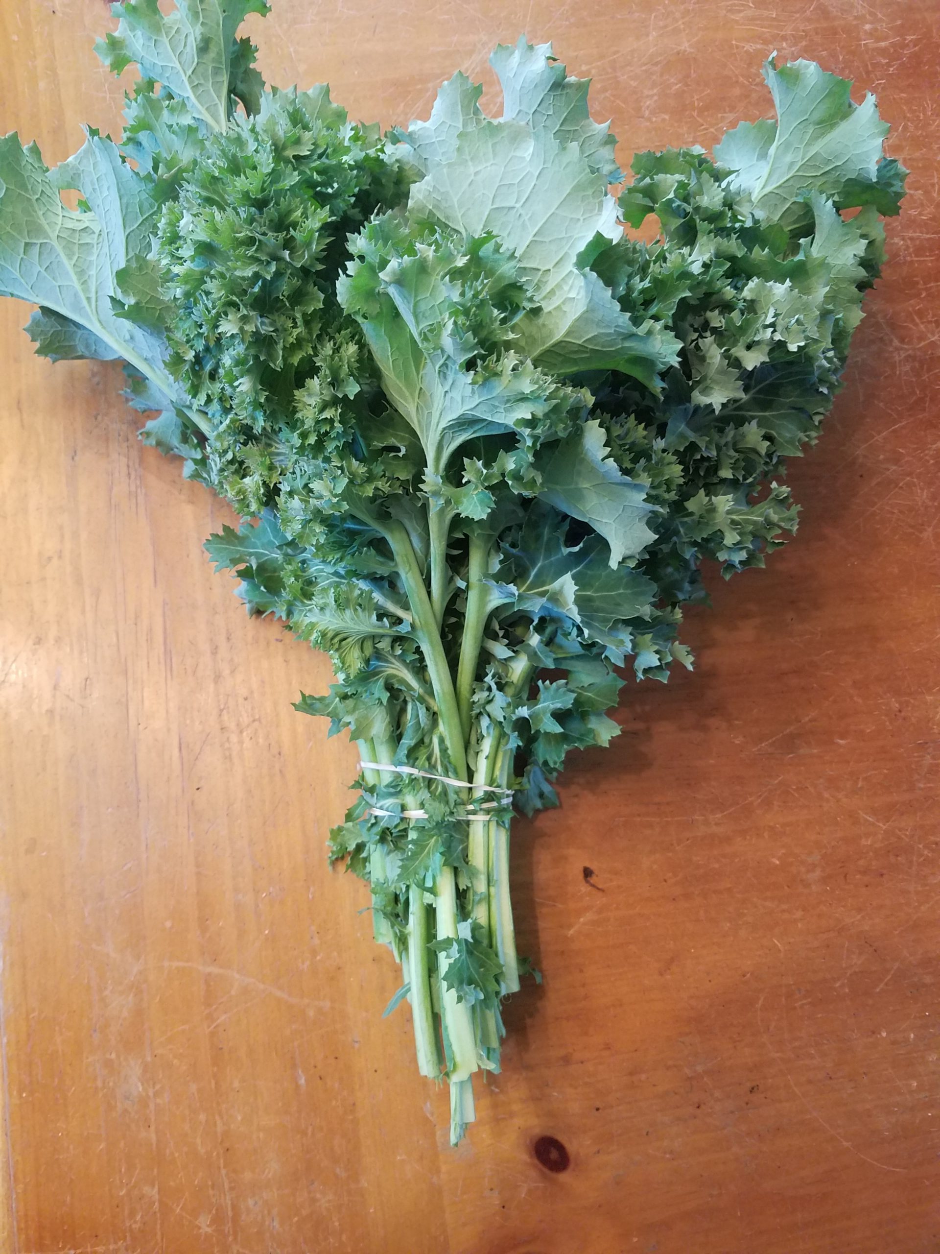 Siberian Kale – FIDDLEHEAD FARM